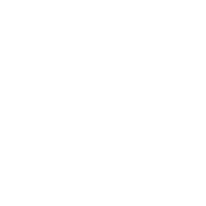 Outstanding Female Entrepreneur